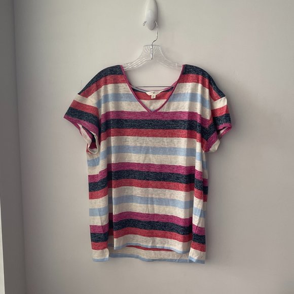 Terra & Sky Women's Plus Size Striped V-Neck Shirt - Picture 2 of 6